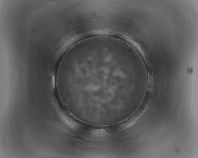 X0000091480061200708161427