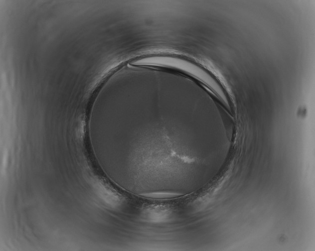 X0000091480063200708161427