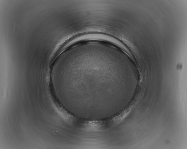 X0000091480064200708161427