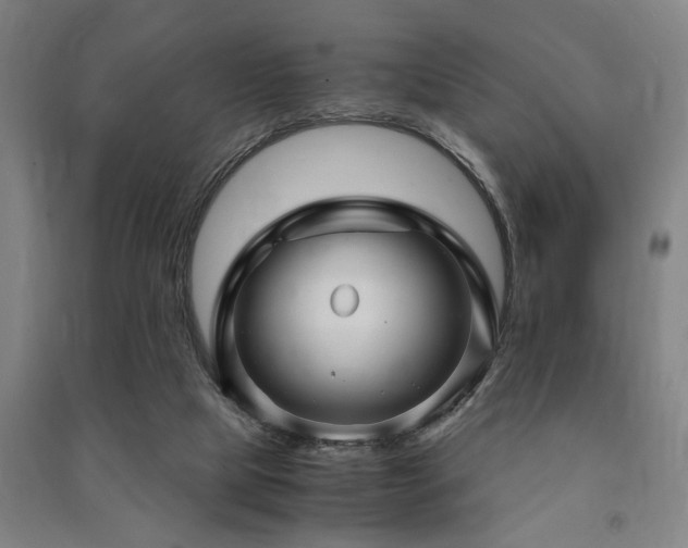 X0000091480065200708161427