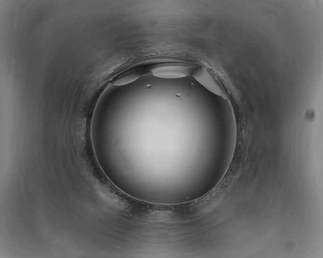 X0000091480066200708161427