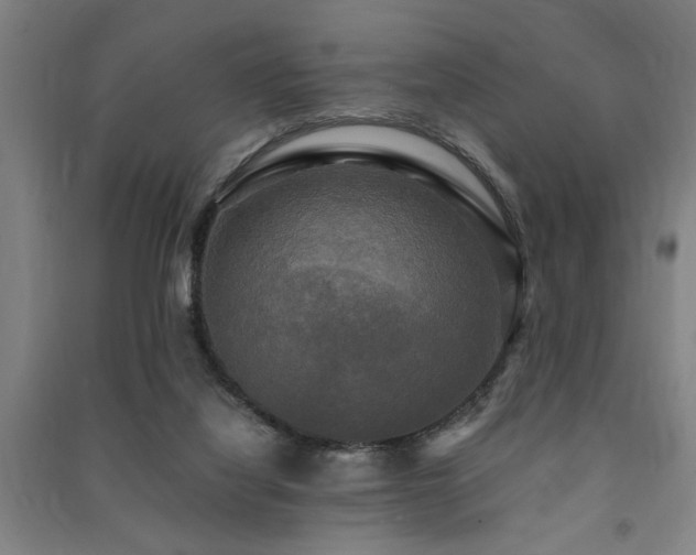 X0000091480068200708161427