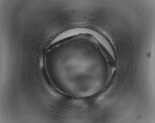 X0000091480069200708161427