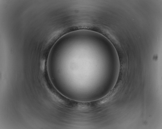 X0000091480070200708161427