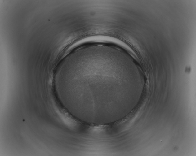 X0000091480072200708161427