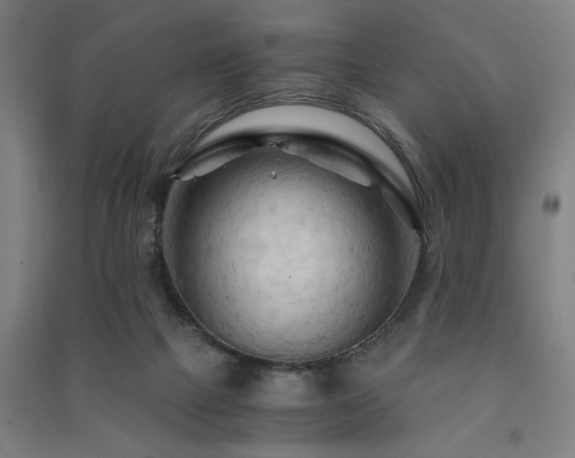 X0000091480073200708161427