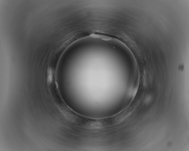 X0000091480075200708161427