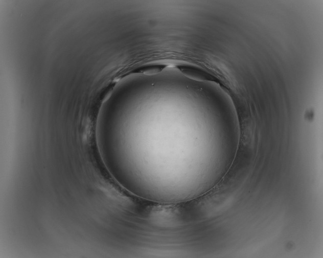 X0000091480077200708161427