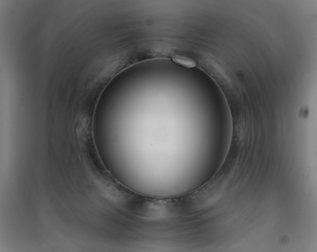 X0000091480079200708161427