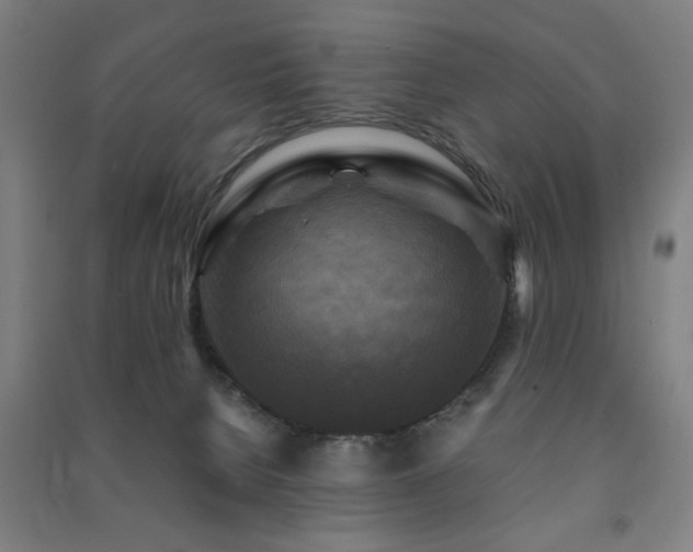 X0000091480080200708161427