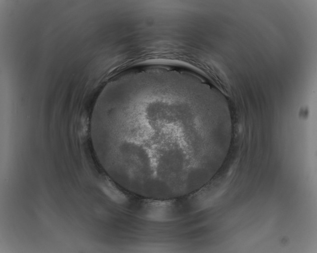 X0000091480081200708161427