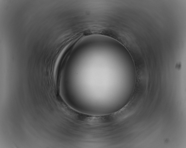 X0000091480082200708161427
