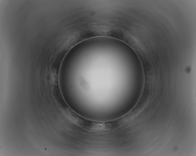 X0000091480083200708161427