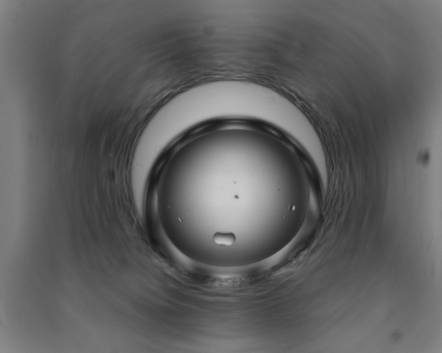 X0000091480084200708161427