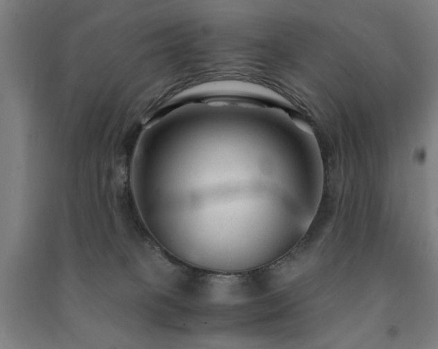 X0000091480085200708161427