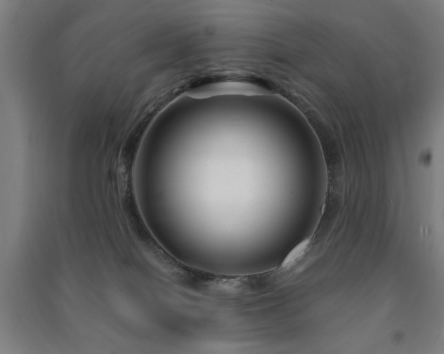 X0000091480086200708161427