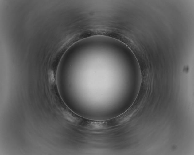 X0000091480089200708161427