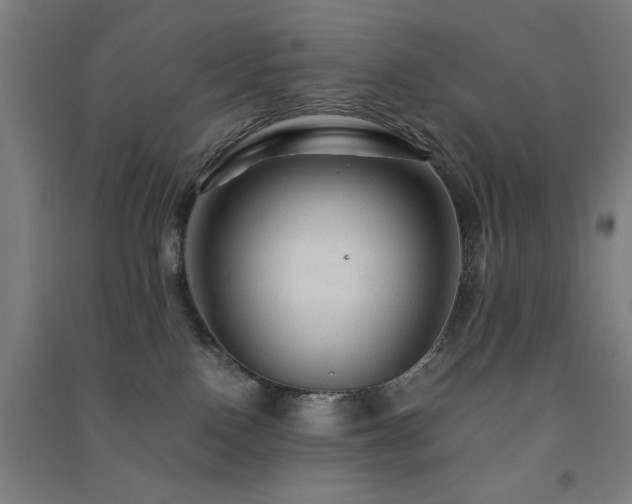 X0000091480090200708161427