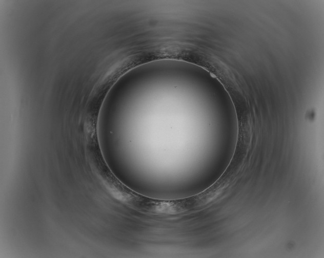 X0000091480091200708161427