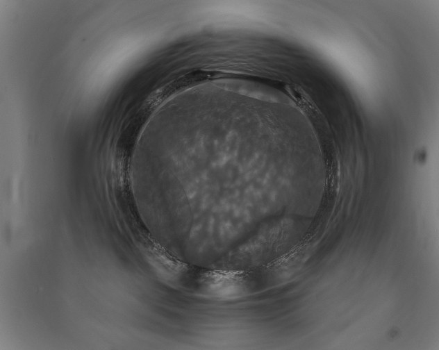 X0000091480093200708161427