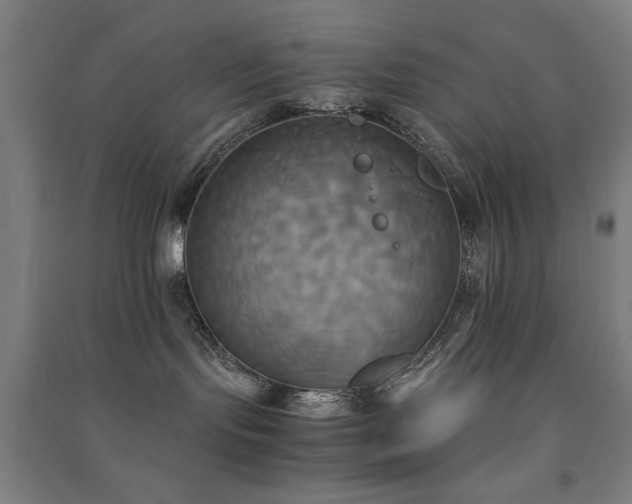 X0000091480095200708161427