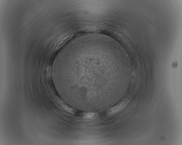 X0000091480096200708161427