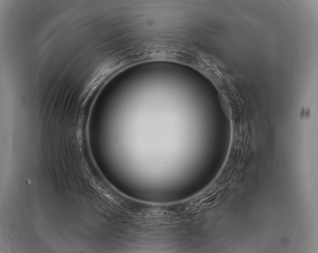 X0000091480098200708161427