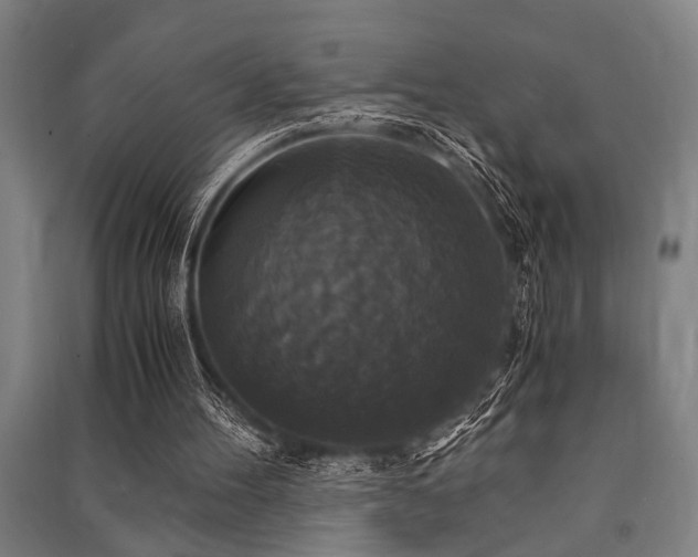 X0000091480100200708161427