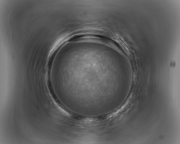 X0000091480101200708161427