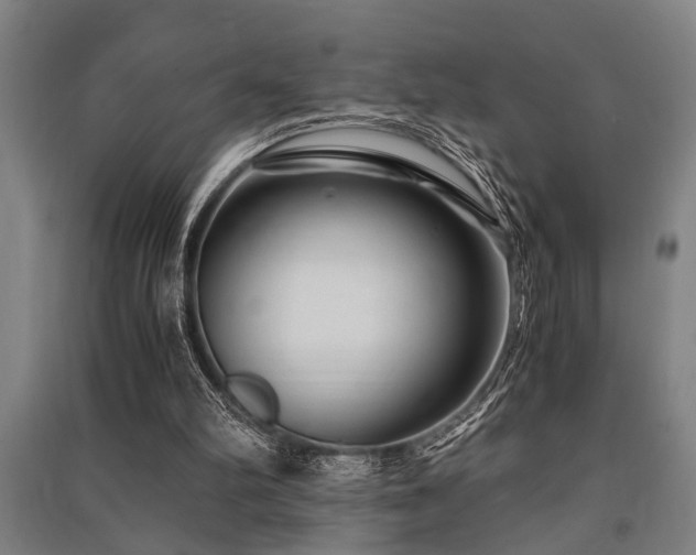 X0000091480102200708161427