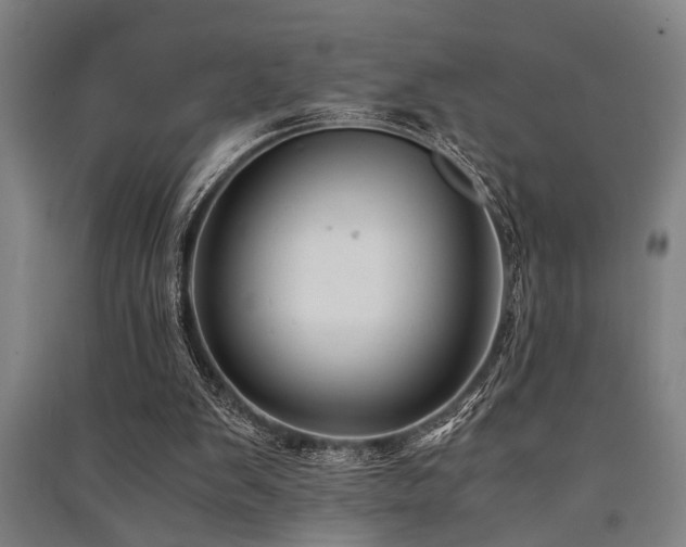 X0000091480103200708161427