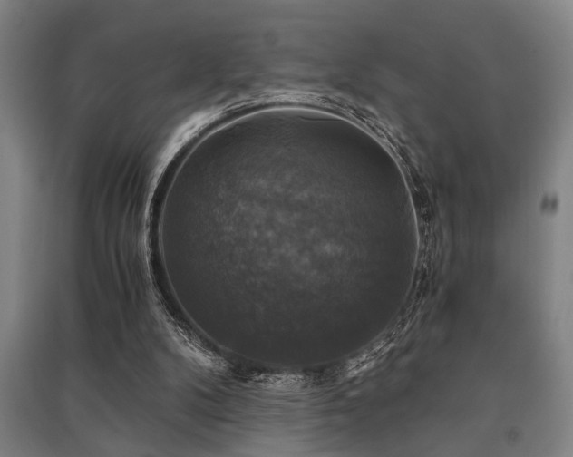 X0000091480104200708161426