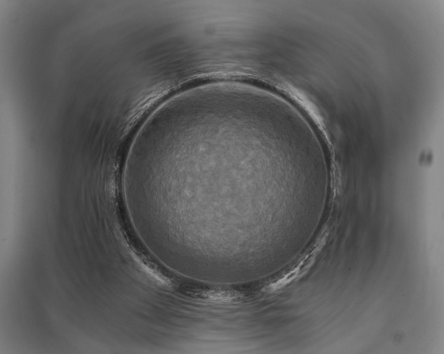 X0000091480105200708161426