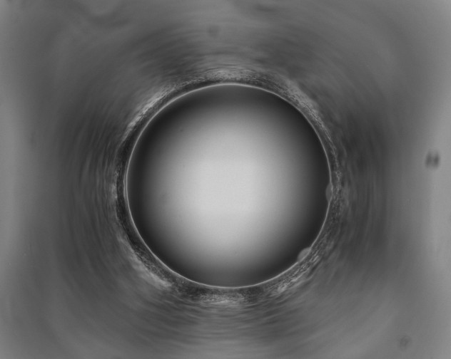 X0000091480106200708161426