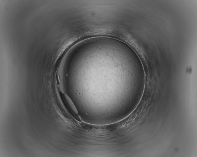 X0000091480107200708161426