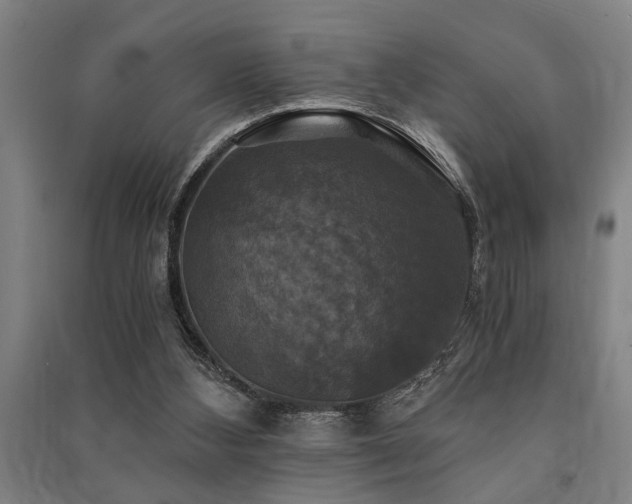 X0000091480108200708161426