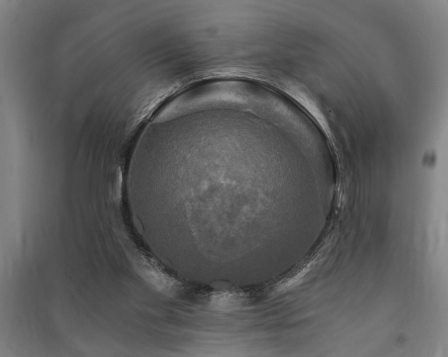 X0000091480109200708161426
