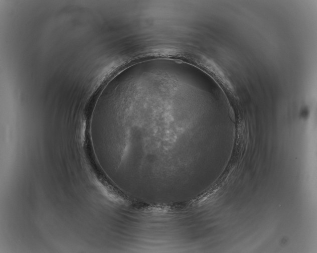 X0000091480110200708161426