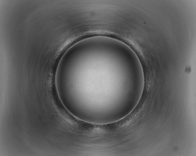 X0000091480111200708161426