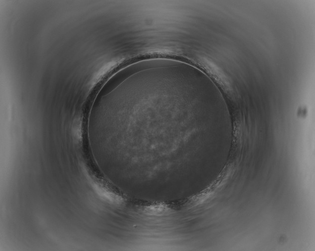 X0000091480112200708161426