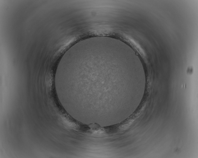 X0000091480113200708161426