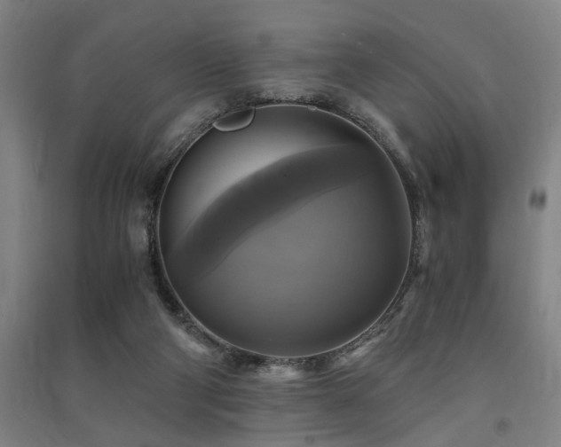 X0000091480114200708161426