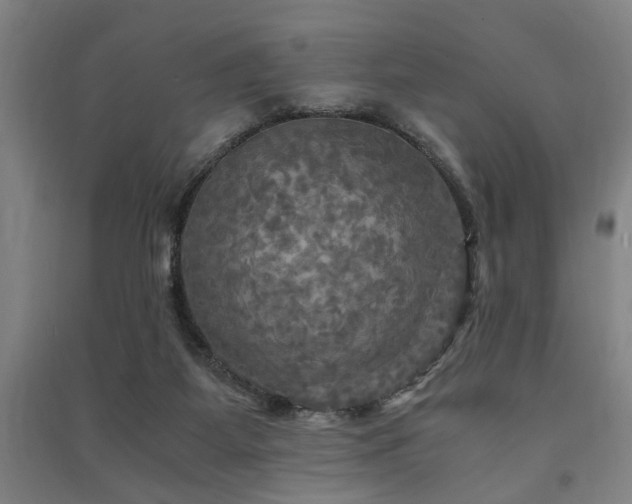 X0000091480115200708161426