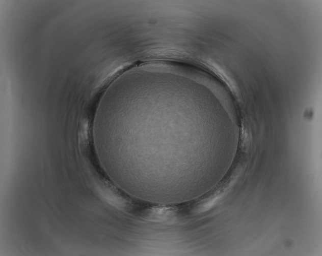 X0000091480117200708161426