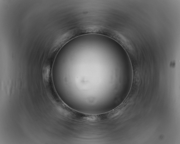 X0000091480118200708161426