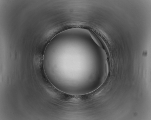 X0000091480119200708161426