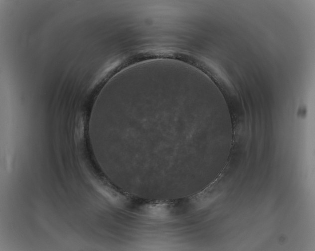 X0000091480120200708161426