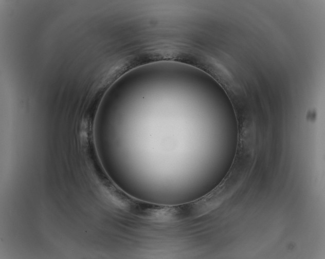 X0000091480122200708161426