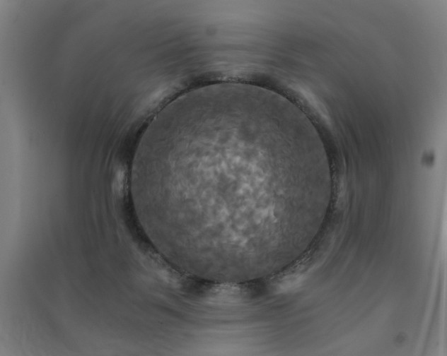 X0000091480123200708161426