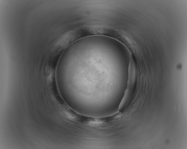 X0000091480125200708161426